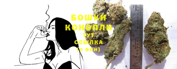 шишки Калининец