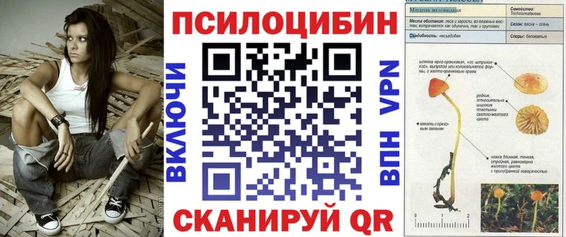 Галлюциногенные грибы Psilocybine cubensis  Лысково 